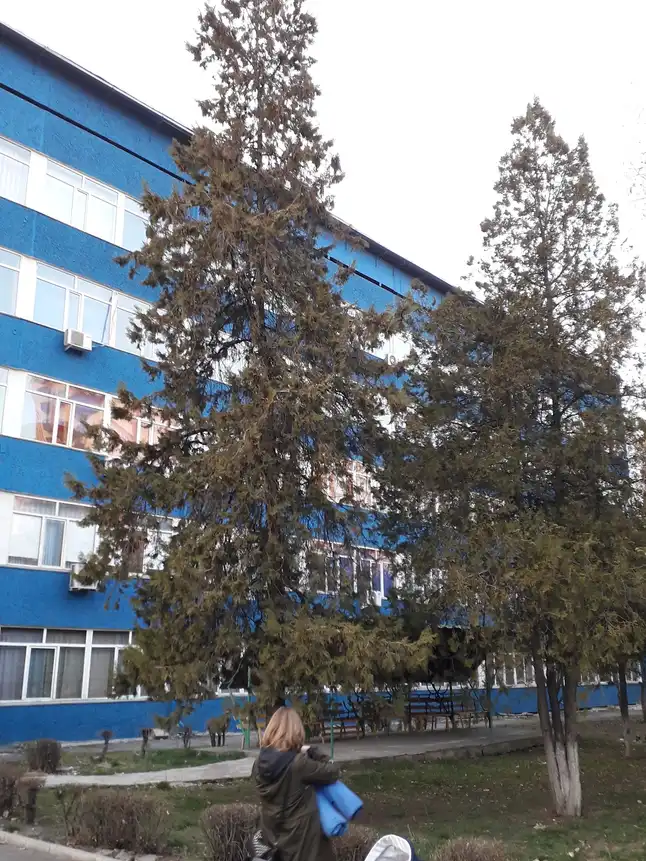 Здание Алматинская академия экономики и статистики, Almaty