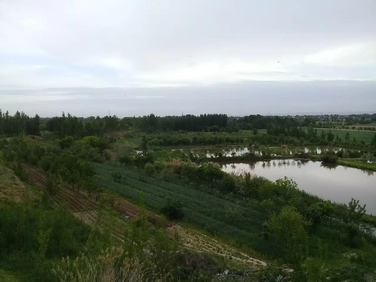 Андижанский институт сельского хозяйства и агротехнологий, Kuyganyor — фото 5
