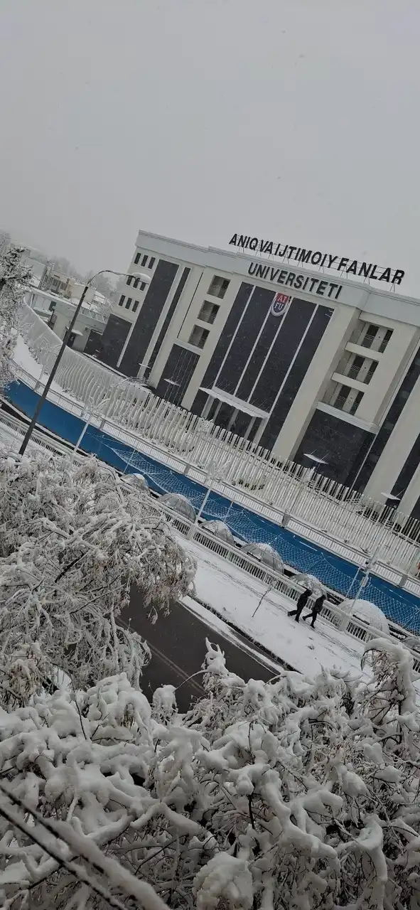 Университет точных и социальных наук, Toshkent — фото 8