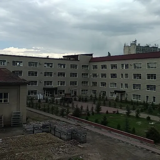 Логотип Центральноазиатский университет, Almaty