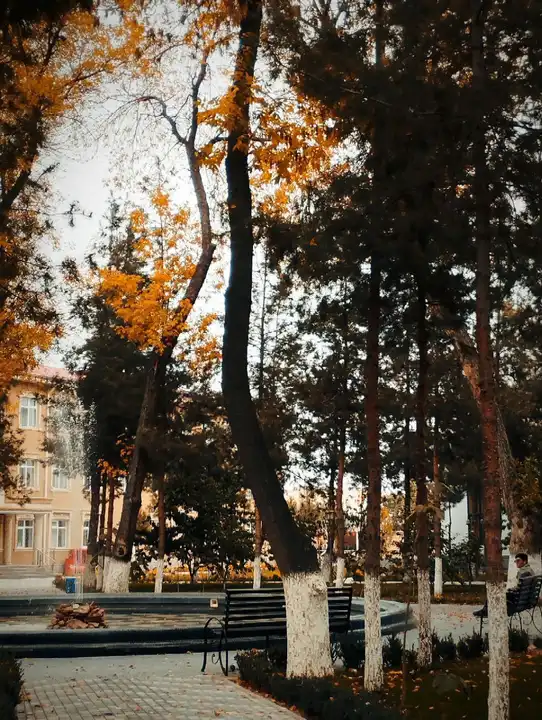 Ферганский медицинский институт общественного здоровья, Fargʻona — фото 6