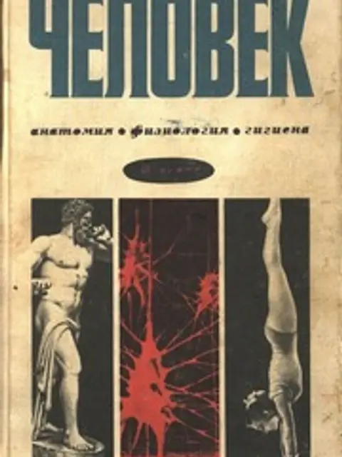 Обложка: Человек: Анатомия, физиология, гигиена. Учебник для 8 класса средней школы (стр. 1-254, нет стр. 151-154)